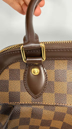 Louis Vuitton Damier Ebene Trevi