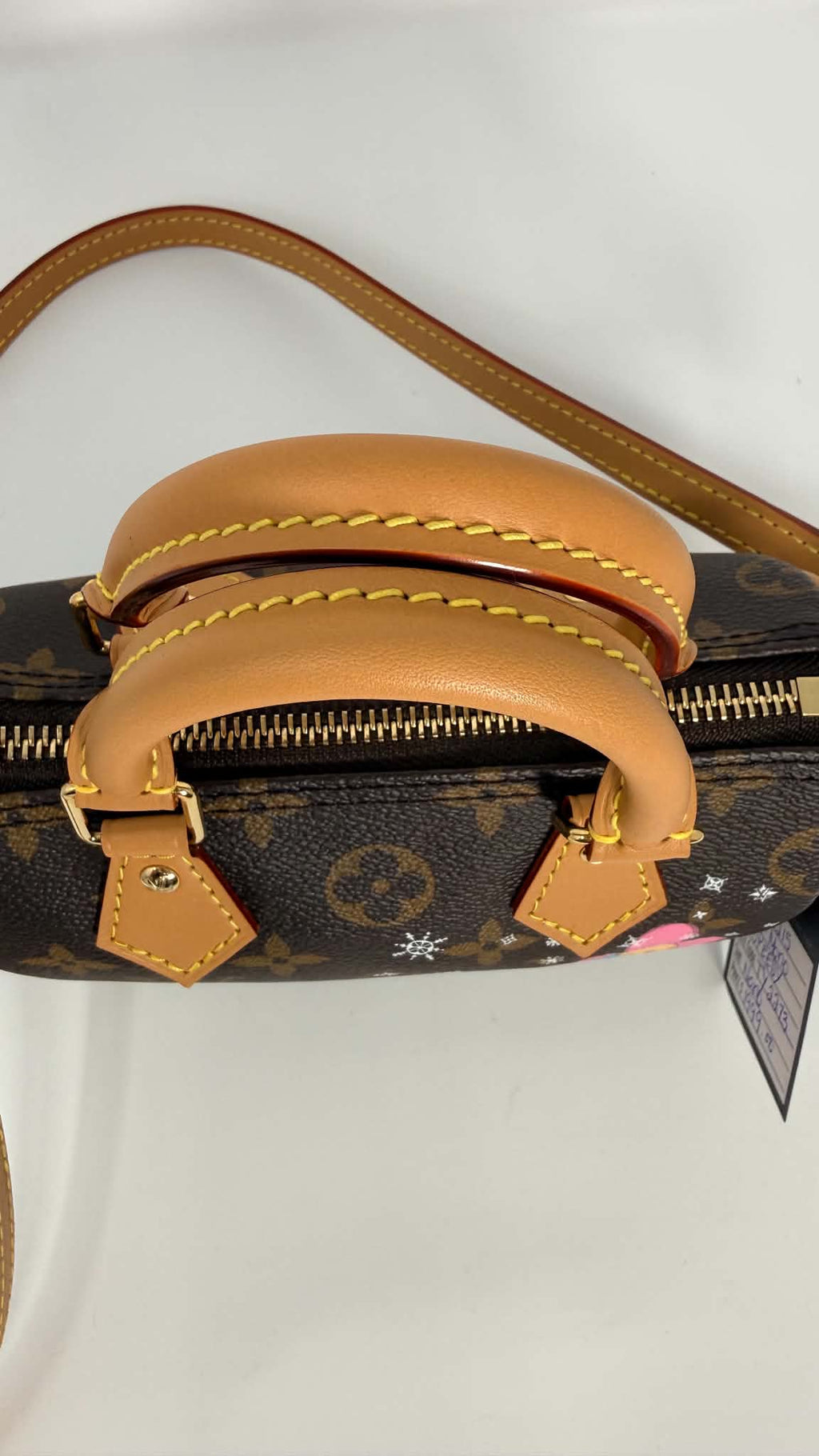 Louis Vuitton Speedy Nano Limited Edition