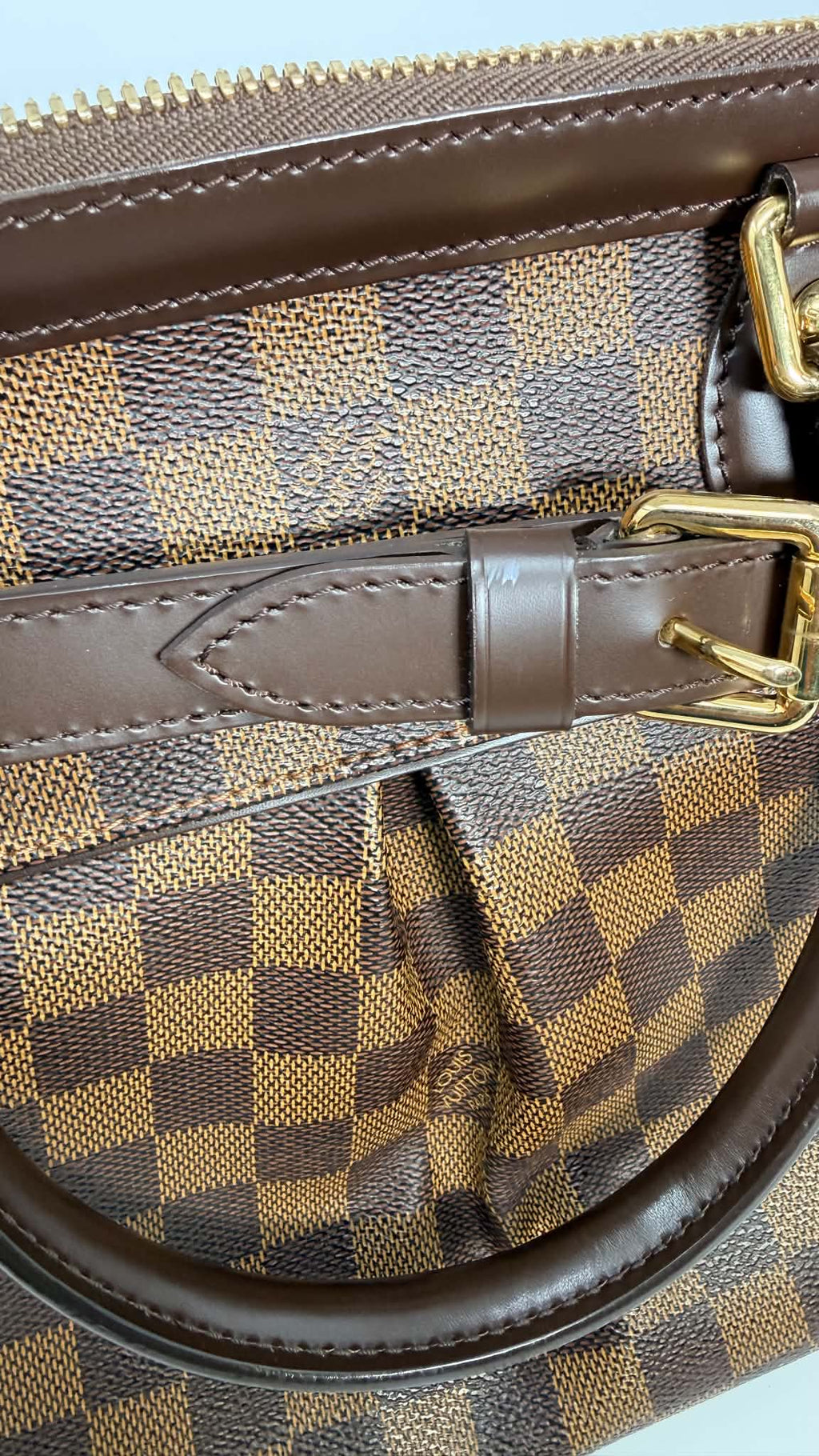 Louis Vuitton Damier Ebene Trevi