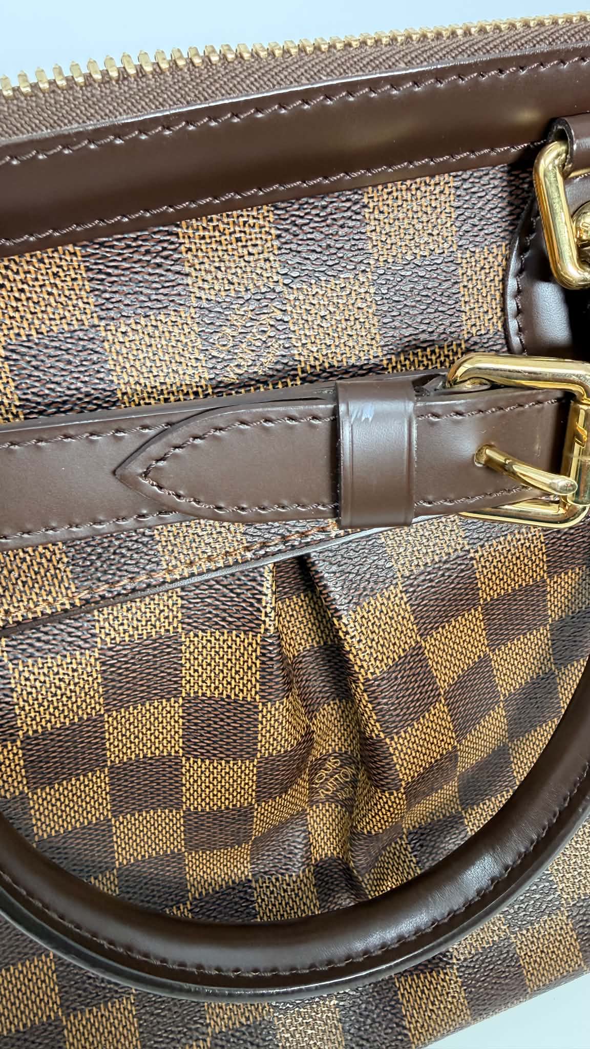 Louis Vuitton Damier Ebene Trevi