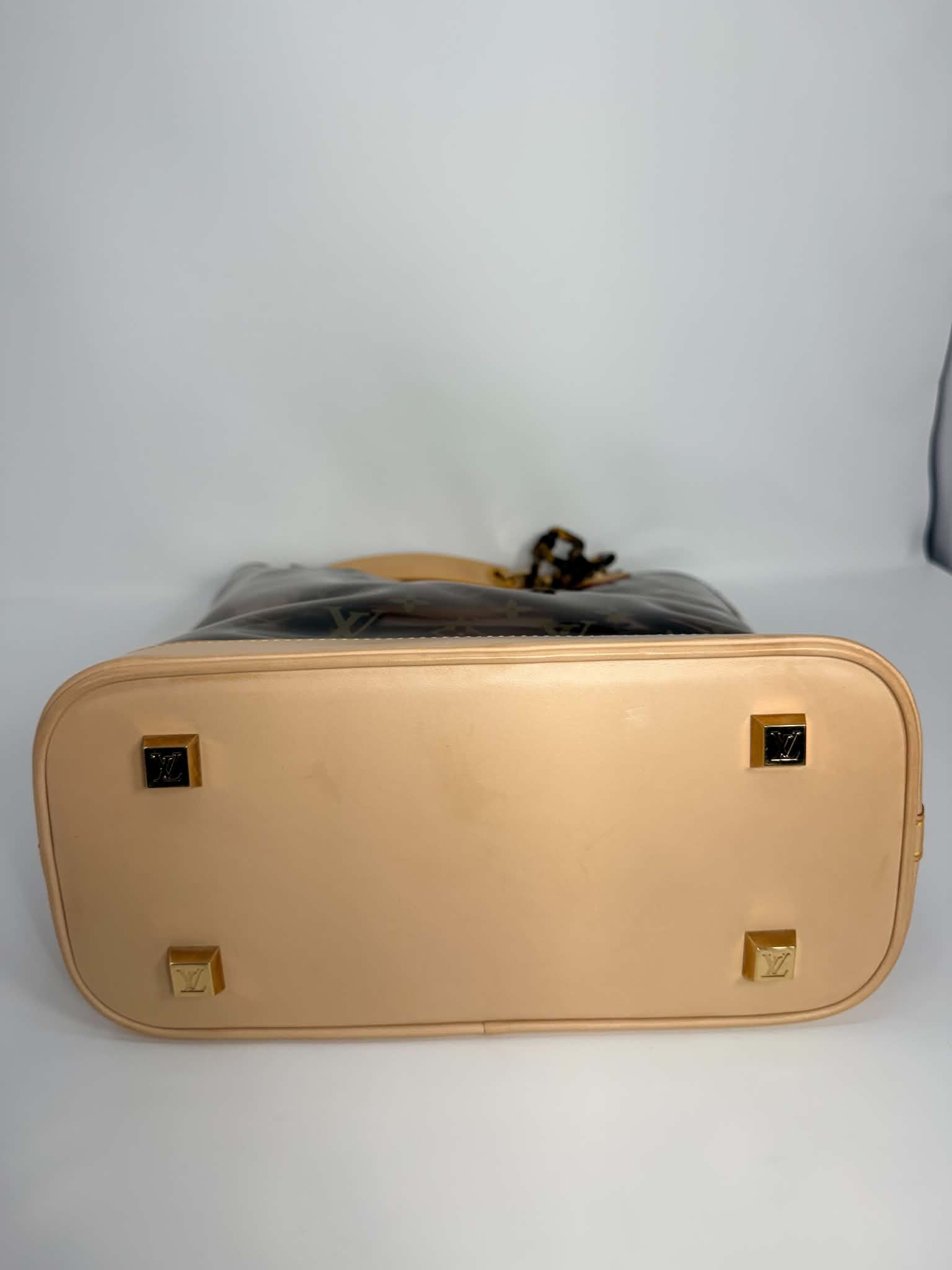 Louis Vuitton Vinyl Cabas Ambre MM