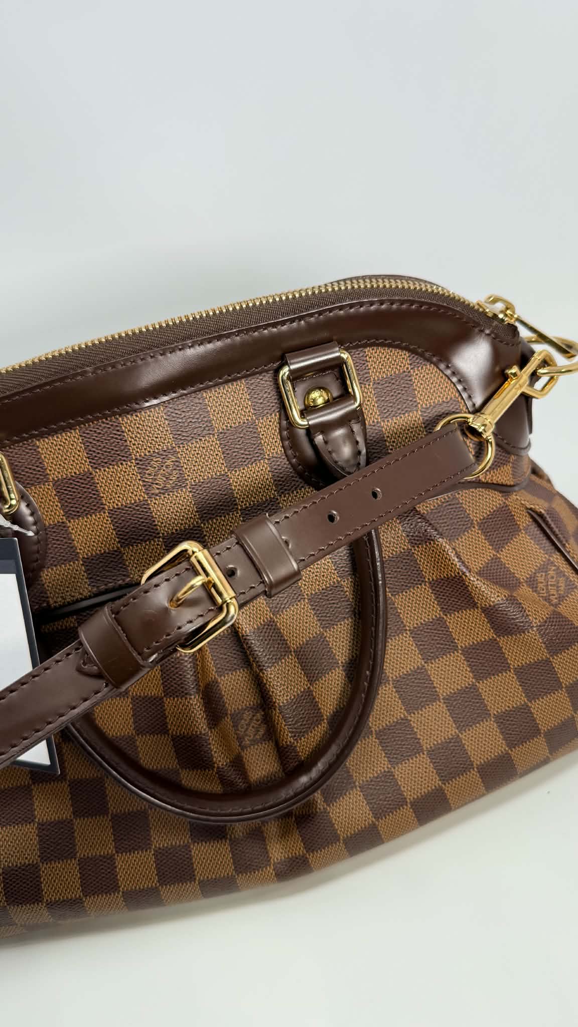 Louis Vuitton Damier Ebene Trevi