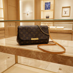 Louis Vuitton Favorite MM Monogram