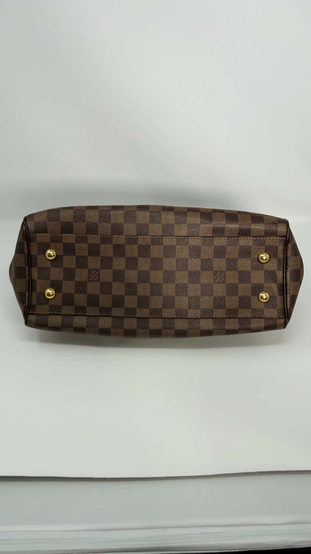 Louis Vuitton Damier Ebene Trevi