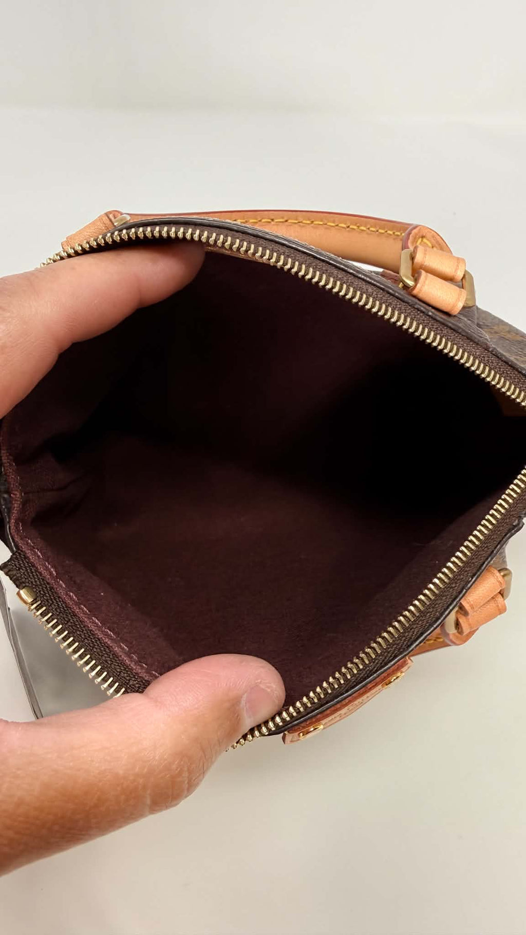 Louis Vuitton Monogram Turenne Nano