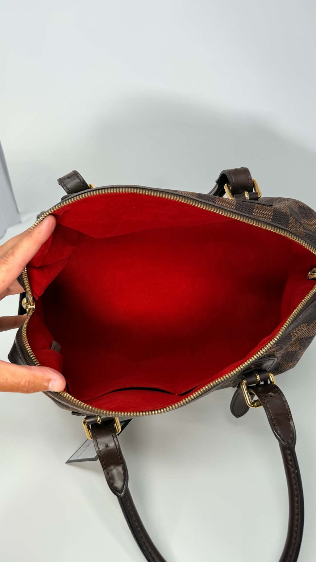Louis Vuitton Berkeley Damiet Ebene Handbag