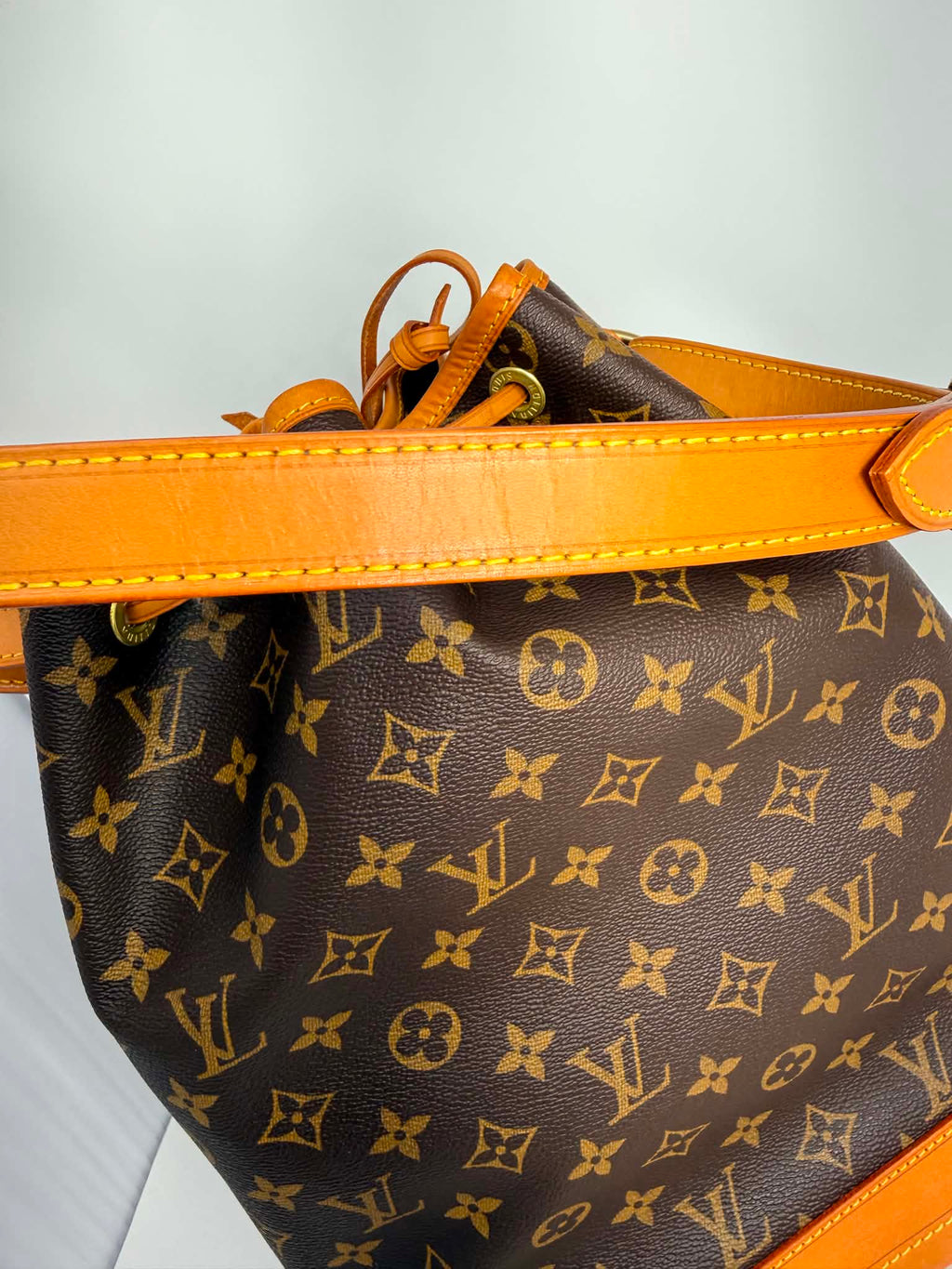 Louis Vuitton Neo Noe MM Monogram