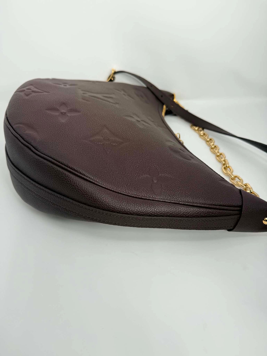 Louis Vuitton GM Loop Hobo