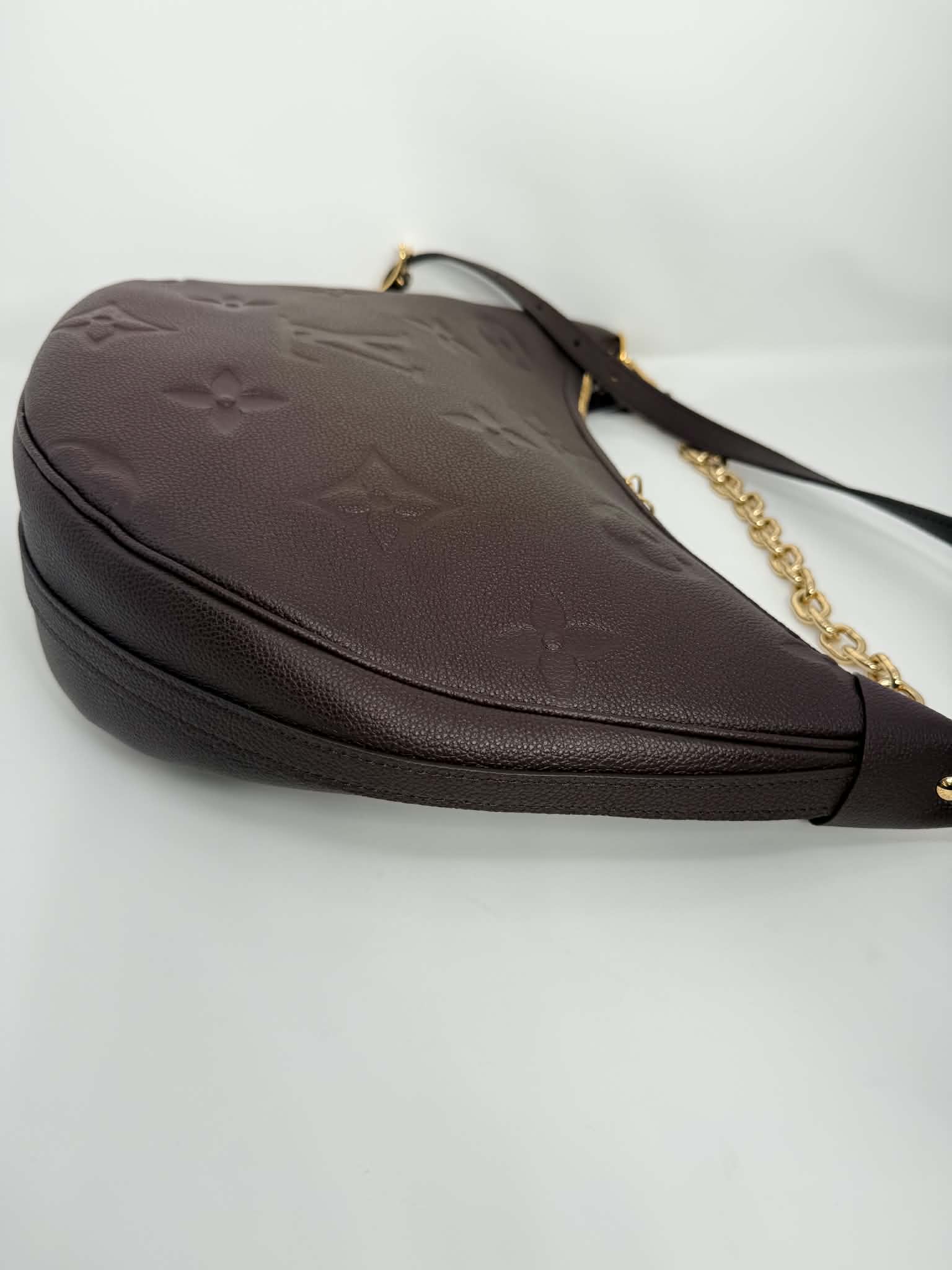 Louis Vuitton GM Loop Hobo